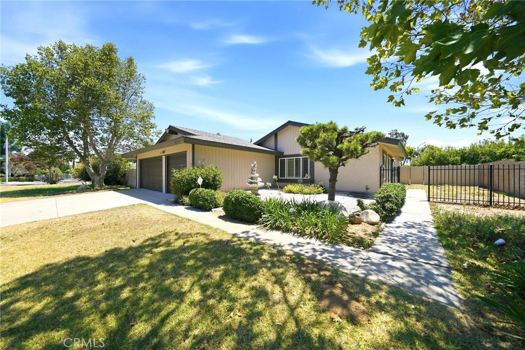 3073 Joshua Tree