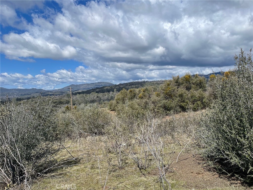 14 acres with 2 great view building sites, one is close to road and close to utilities the ohter is out on a point. County water system, power is close, owner financing.CC&Rs do not allow horses. Great area of newer homes