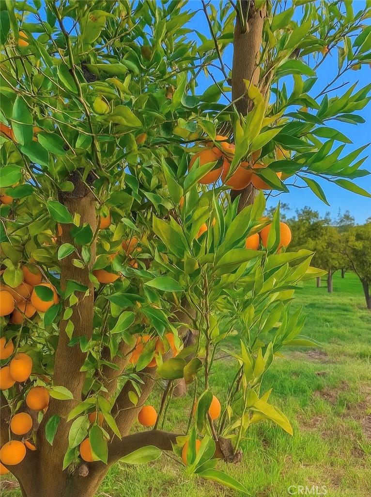 Valley Center - Residential