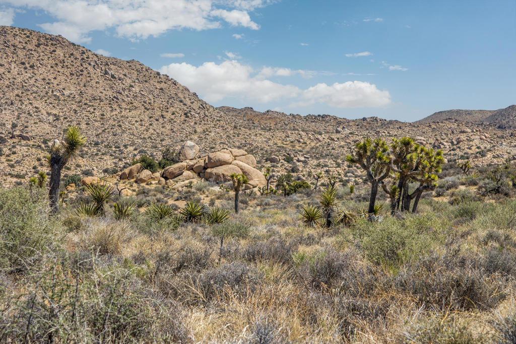 Not Applicable-1 - Land