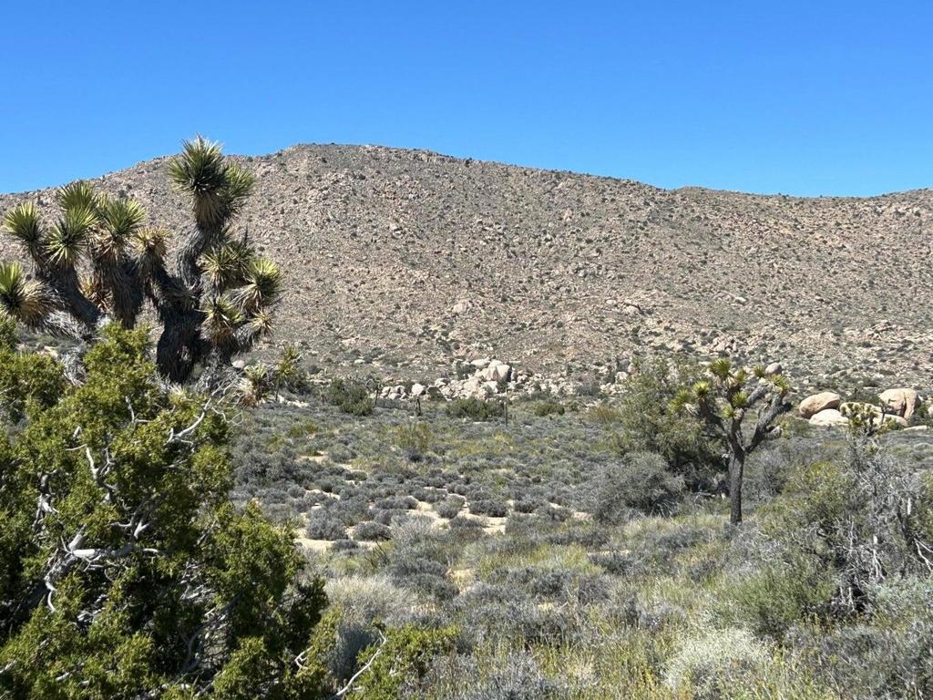 Not Applicable-1 - Land