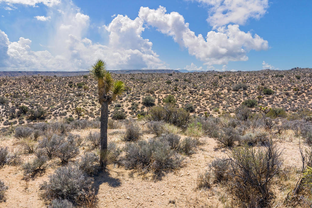 Not Applicable-1 - Land