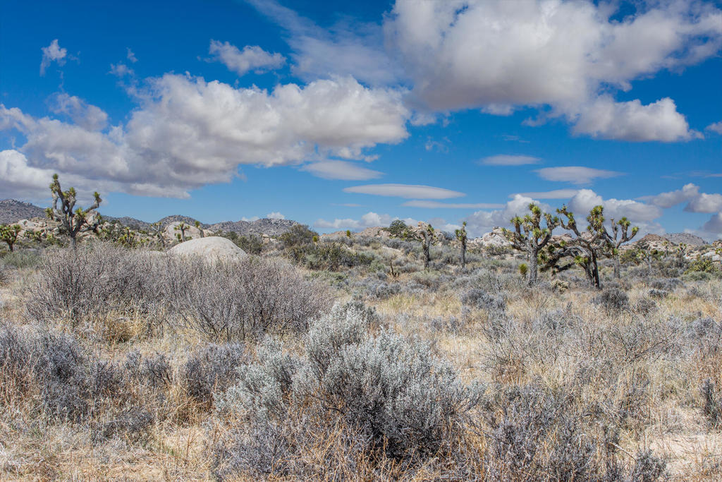 Not Applicable-1 - Land