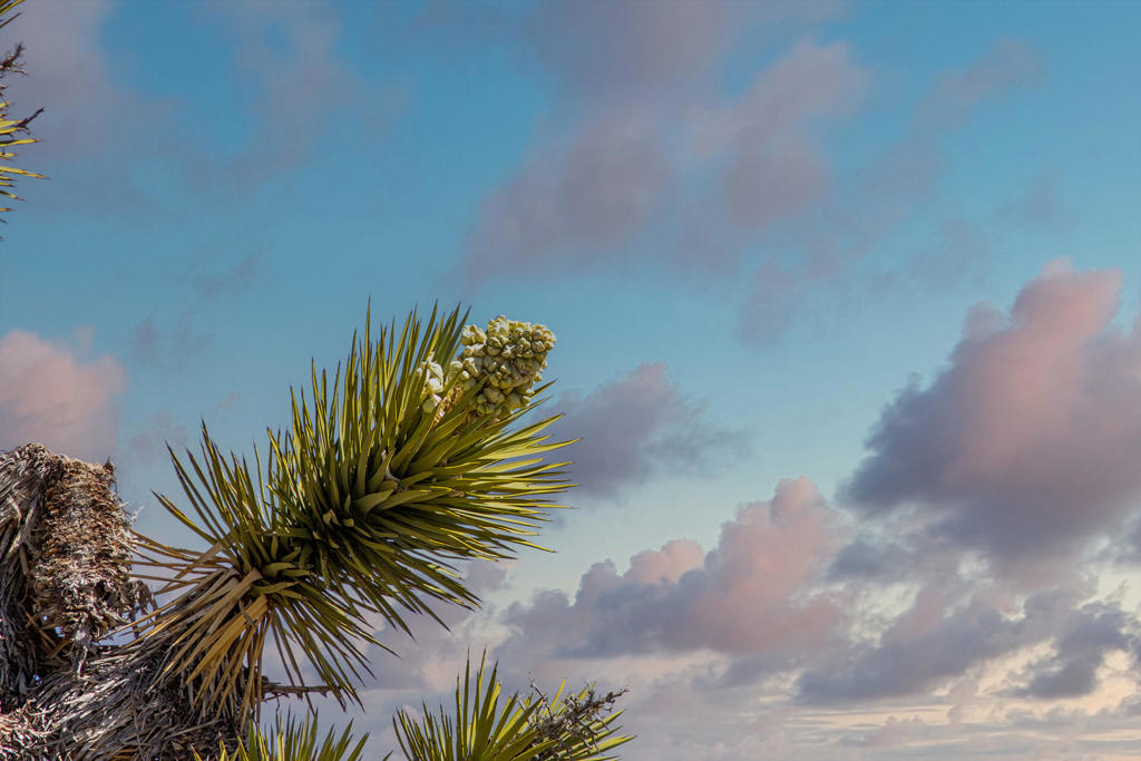 Not Applicable-1 - Land