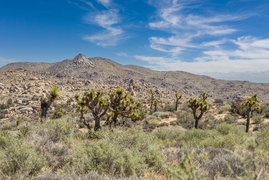 Not Applicable-1 - Land