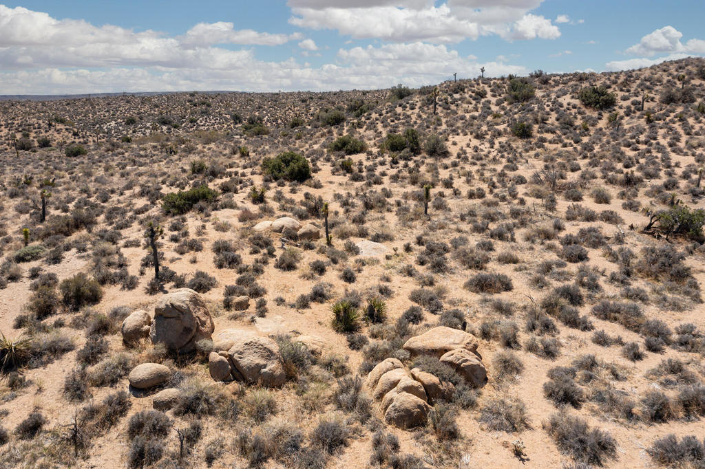 Not Applicable-1 - Land