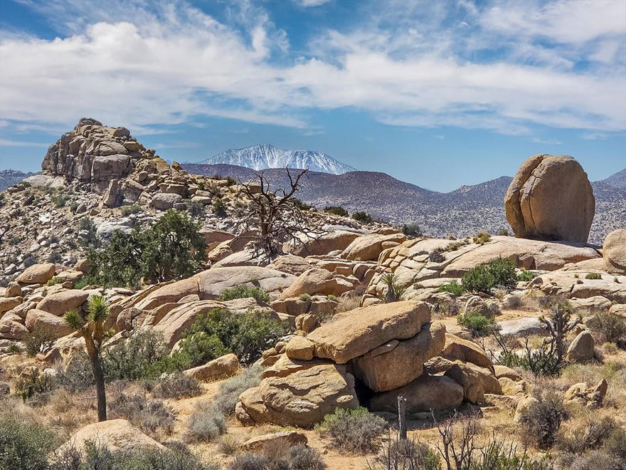 Owner may carry with seller financing! Inspiration abounds. Panoramic 5 acres with vistas of boulder gardens in a secret pocket off Gamma Gulch. No neighbors & surrounded by government land open space wilderness. Truly a one of a kind parcel, begs for the designer off grid architectural masterpiece. Multi million dollar homes in the area. Pioneertown is known as the Beverly Hills of the high desert. A-list celebrities, world renowned architects, artists, & more have discovered Pioneertown. The county may allow for two homes, guest homes, & junior guest homes. Starry nights. Horse property. Views of lava rock mesas, boulder studded hills, & pristine mountains. The ultimate hideaway will leave a lasting impression on all who visit. Short drive to downtown Yucca Valley for all amenities. About 8 miles to Pioneertown for restaurants & live music. About 24 miles to Joshua Tree National Monument where about 3 million tourists visit the park annually. 45 miles to Palm Springs. 2.5 hours to Los Angeles. Buyers must contact county planners for all questions on building & uses. Buyers must contact the utilities agencies & companies for all questions on utilities. APN: 0454-661-01-0000 Address is not a real address & is for marketing purposes only. No direct access currently, property appears to have an old easement. Photos may or may not be on the property. GPS 34.240301, -116.535304 Call Now!