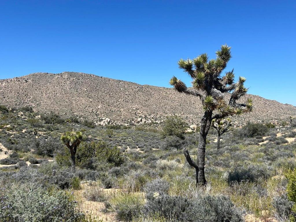 Not Applicable-1 - Land