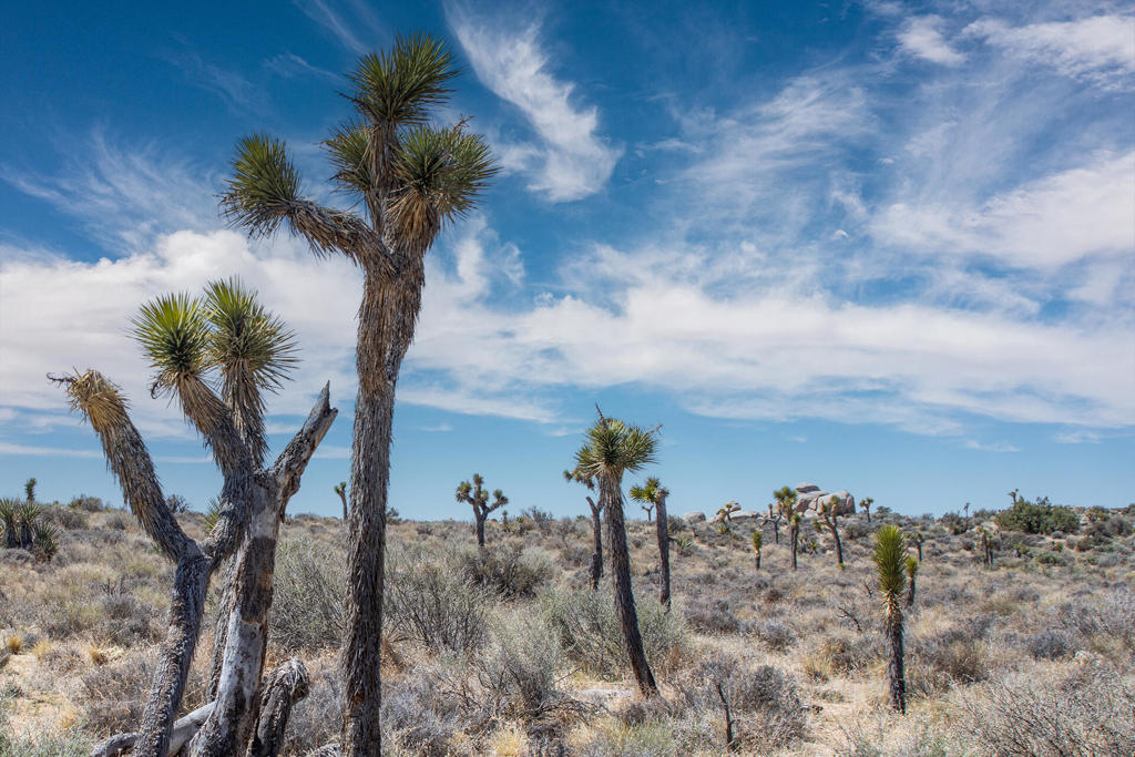 Not Applicable-1 - Land