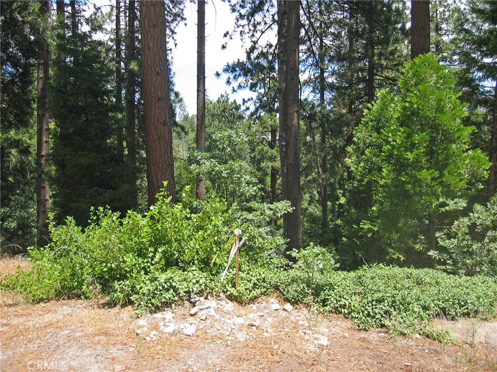 Arrowhead Woods (AWHW) - Land