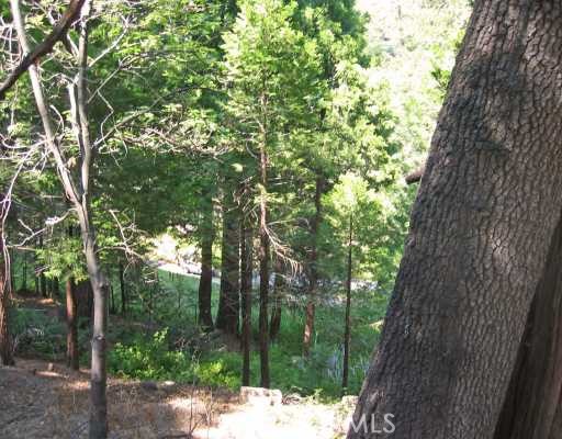 Arrowhead Woods (AWHW) - Land