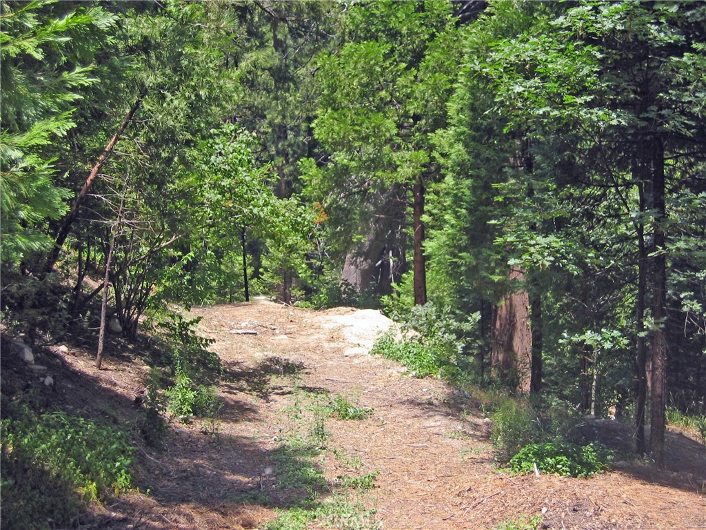 Arrowhead Woods (AWHW) - Land
