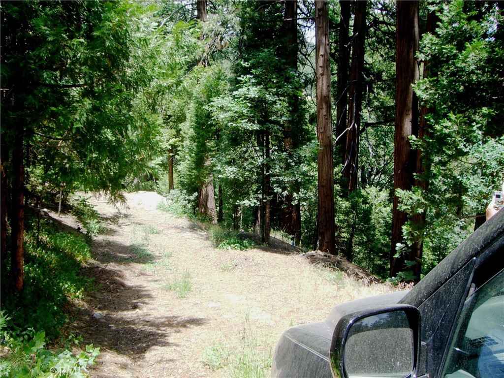 Arrowhead Woods (AWHW) - Land