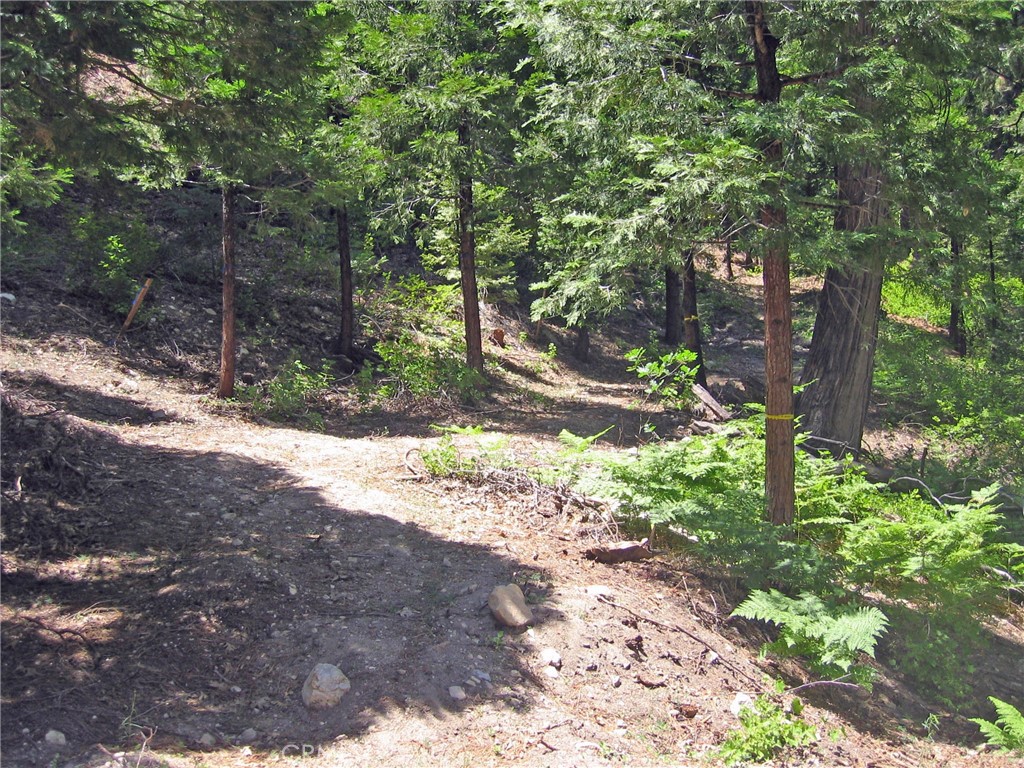 Arrowhead Woods (AWHW) - Land