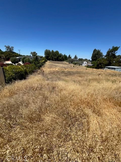 Build your dream home on this beautiful flat one-acre lot in scenic Paso Robles! This spacious, usable parcel offers endless potential beginning with the paved Jardine Road—whether you're planning a custom residence, vacation retreat, or investment opportunity. Surrounded by the natural beauty and charm of Central Coast wine country; near downtown Paso Robles, shopping, restaurants, and schools. Enjoy the privacy and tranquility of rural living with the convenience of nearby amenities. Don’t miss the chance to own land in this fast-growing, highly desirable area! Make this the site of your next home.