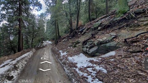 0 Reservoir Road Cedarpines Park CA 92322