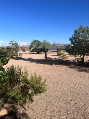 3423 CANYON RD, TWENTYNINE PALMS, CA 92277 - Image 507d19b8fd7979ea2a5fb5d6dbb05c49/2306434988