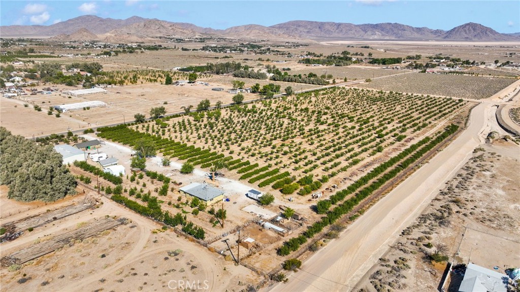 10099 Highland Avenue