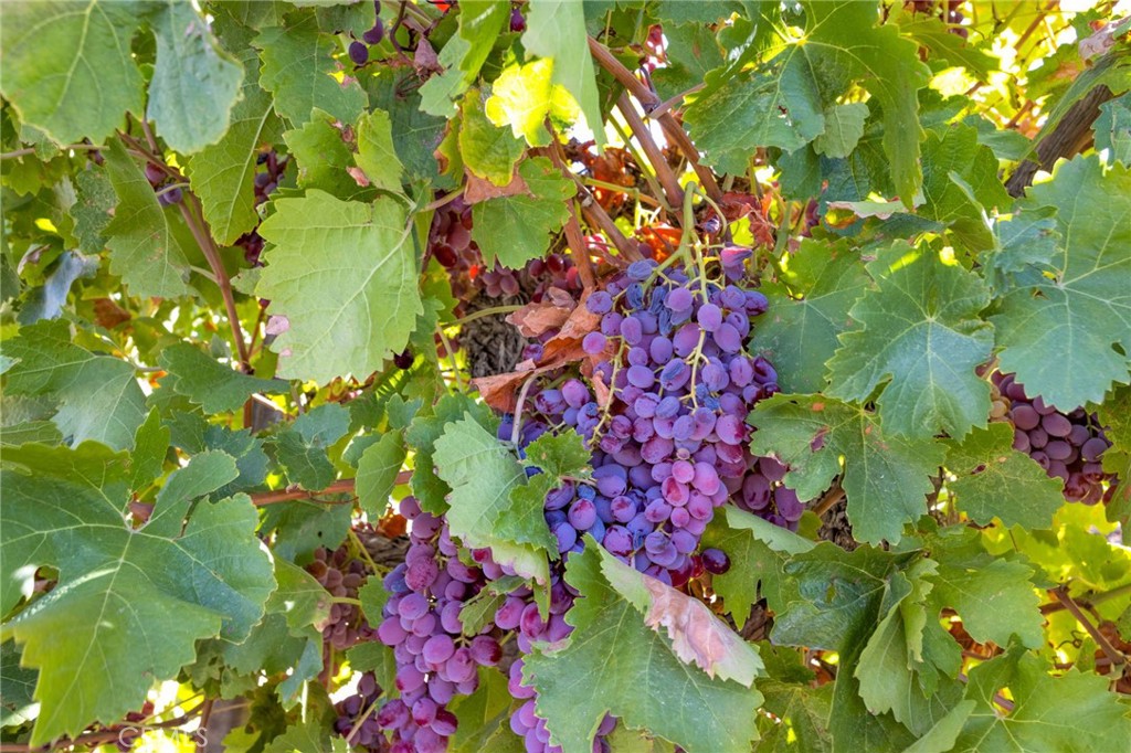 10099 Highland Avenue