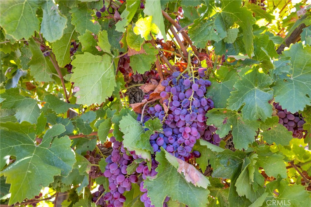 10099 Highland Avenue