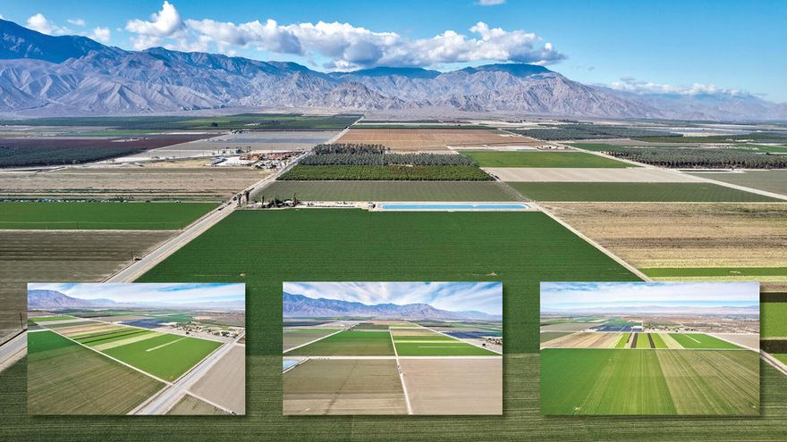 1,055 contiguous acres with a half mile fronting Expressway 86, prime farmground and date trees in path of growth. Ideal climate produces first-to-market crops. Abundant, low-cost water supply (Coachella Valley Water District). In Opportunity Zone providing tax incentives. Low property taxes (Williamson Act). General Plan calls for Business Park, Medium Density Residential, and Commercial, amongst other uses. 40 miles from Palm Springs. 75 miles to the Mexicali Trade Area which has become an export hub for aerospace, medical devices, automotive, telecommunication & electronics.