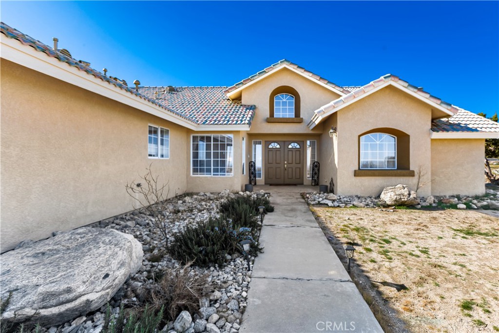 1825 Smoke Tree