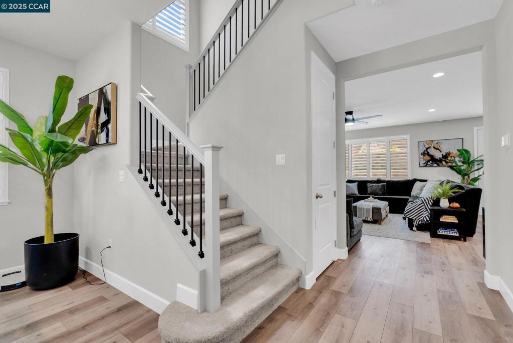 CORDELIA - Residential