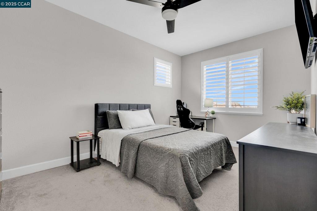 CORDELIA - Residential