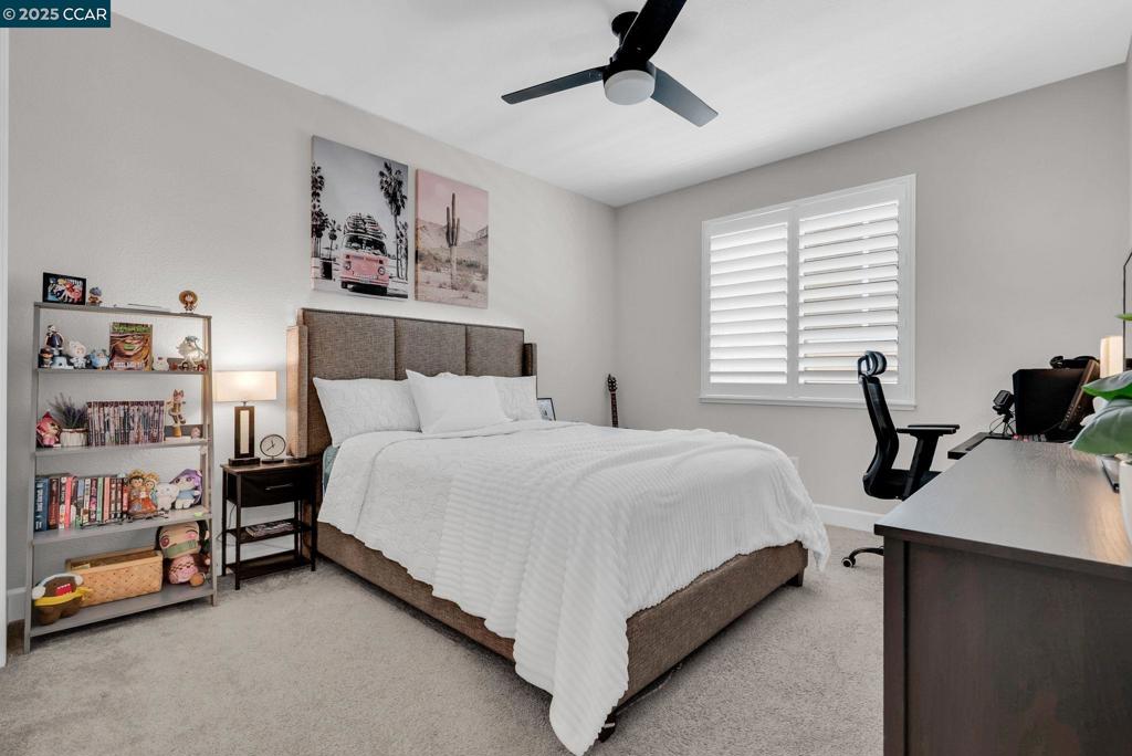 CORDELIA - Residential