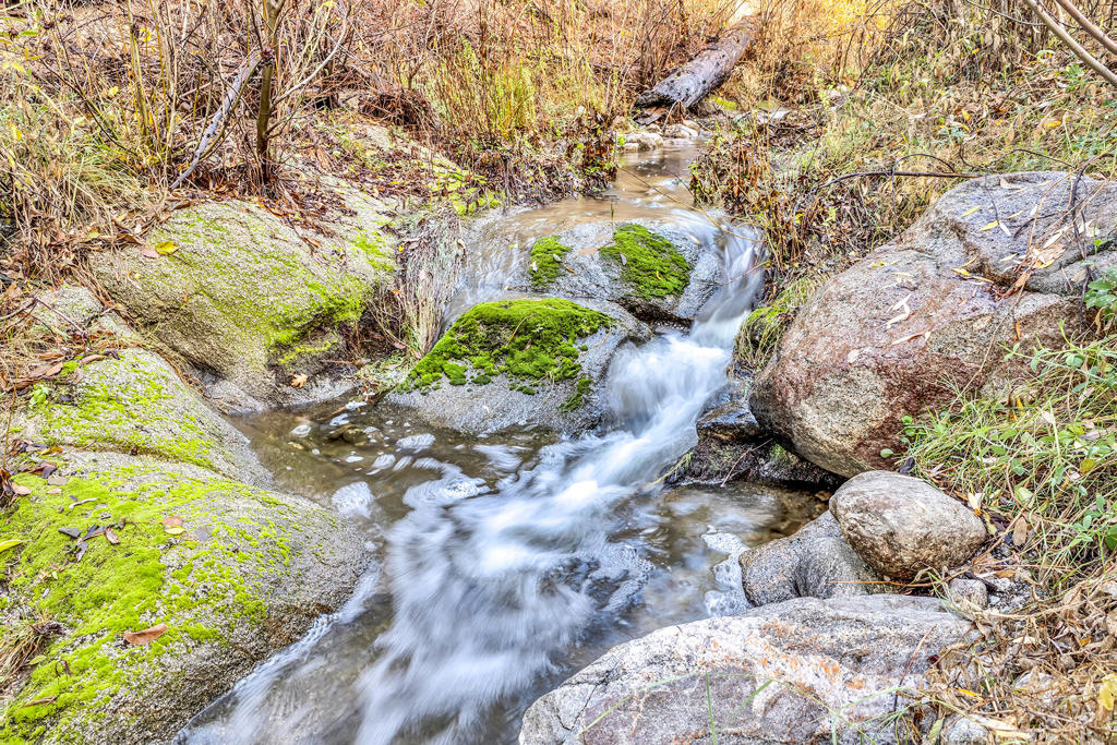 Not Applicable-1 - Residential