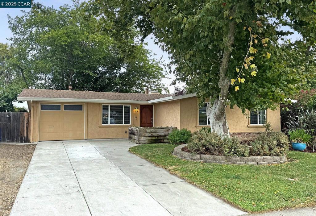 Beautifully remodeled, spacious home with 2 living areas, dual pane windows, central HVAC, newer "cool" roof, super clean and refreshed. The kitchen has maple cabinets, high-end granite counters & a water purifier. The baths are updated. There is a cozy gas fireplace in the family/dining room, framed by windows that look out into the shady backyard.The house is nestled under huge mature trees with a private backyard oasis surrounded by new fencing. Holbrook Heights has a well maintained community center, pool and playground and is about a mile from downtown Concord amenities and BART. A perfect choice for your buyer who wants great commute access and a move-in ready comfortable home. Open House this Saturday/Sunday from 1-4