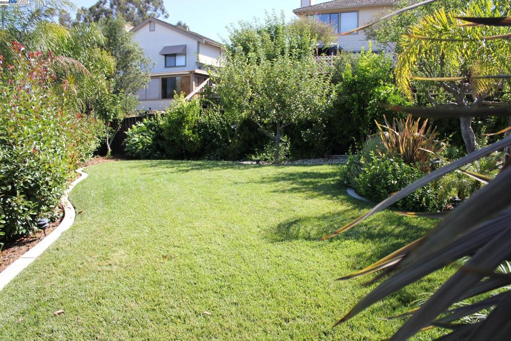 CASTRO VALLEY - Residential