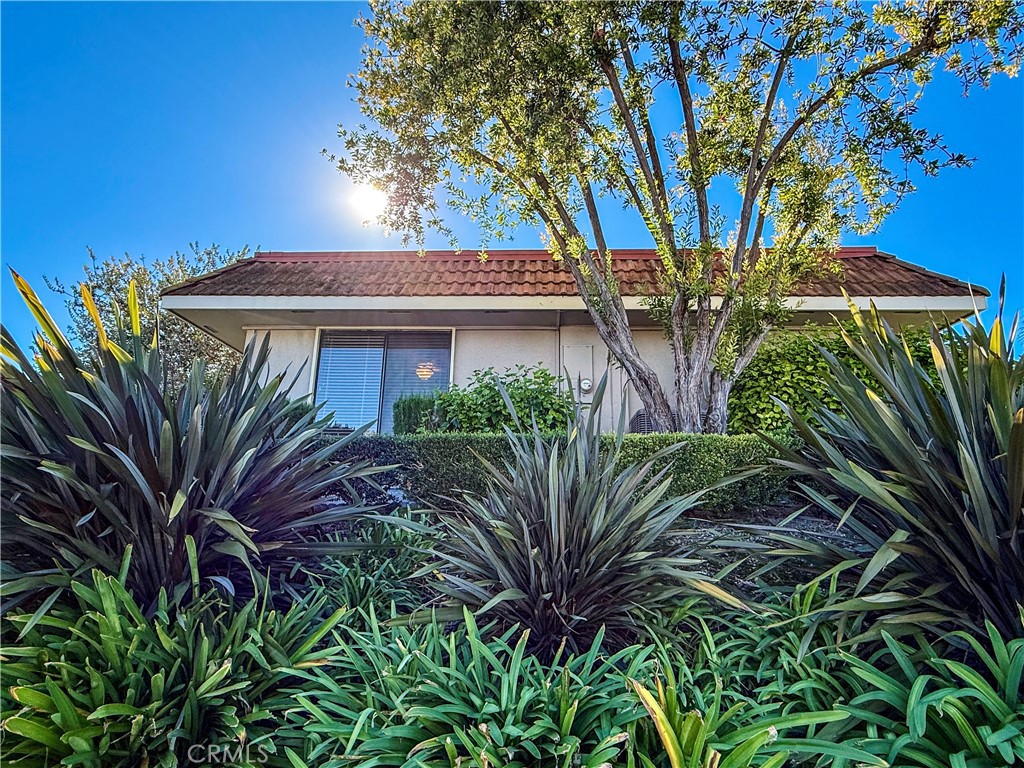 New World Condos (NW) - Residential