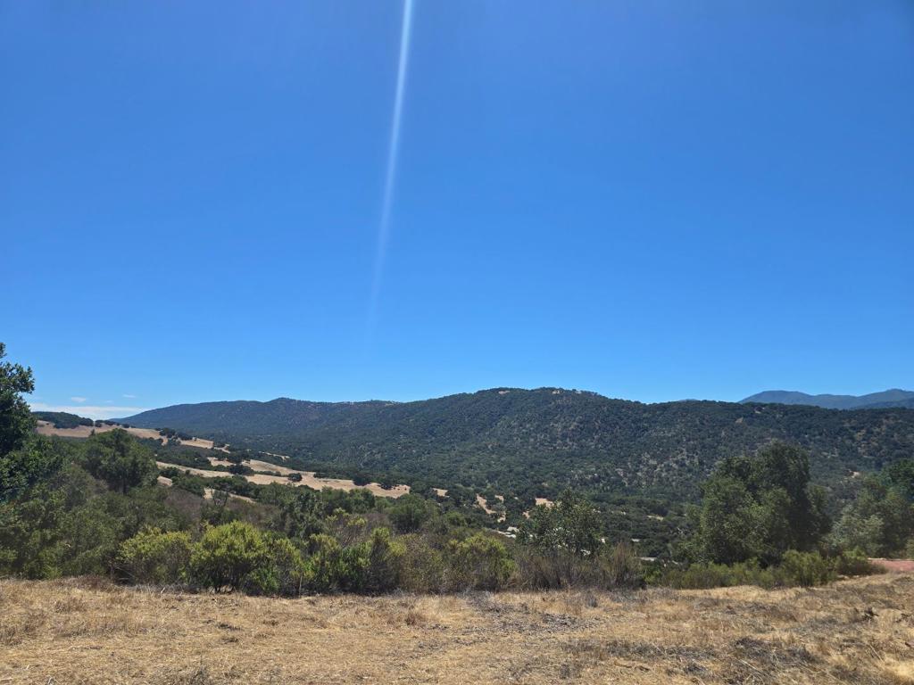 This sun kissed property is situated in desirable Los Tulares, an established upscale neighborhood just east of Carmel Valley village, in the heart of wine country. This breathtaking 2.58 acre parcel, has sweeping panoramic vistas to the south and east of Stone Pine, Carmel Valley and the stunning Santa Lucia Mountains. The lot is set down from the street to take full advantage of the expansive, unobstructed view setting. The property has a private well that has not be been used or tested in a long time, there are also some lovely Oaks, as well as an old tennis court. Convenient to shops, restaurants and amenities of Carmel Valley village, and approximately 20 minutes to Carmel.