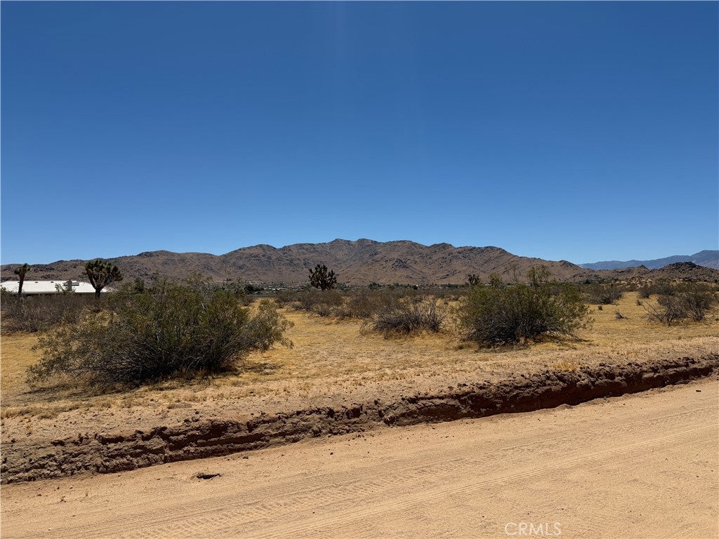 4362025 Rocky Point