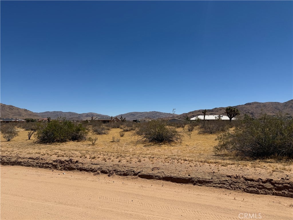 4362025 Rocky Point