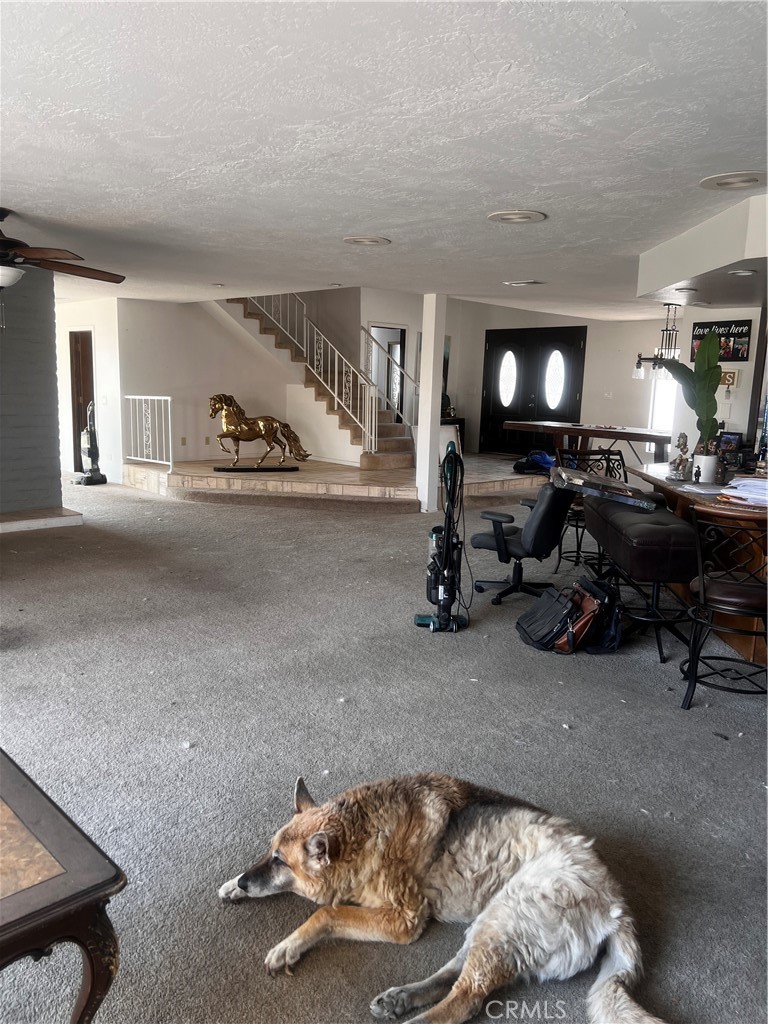 13290 Rain Shadow Road