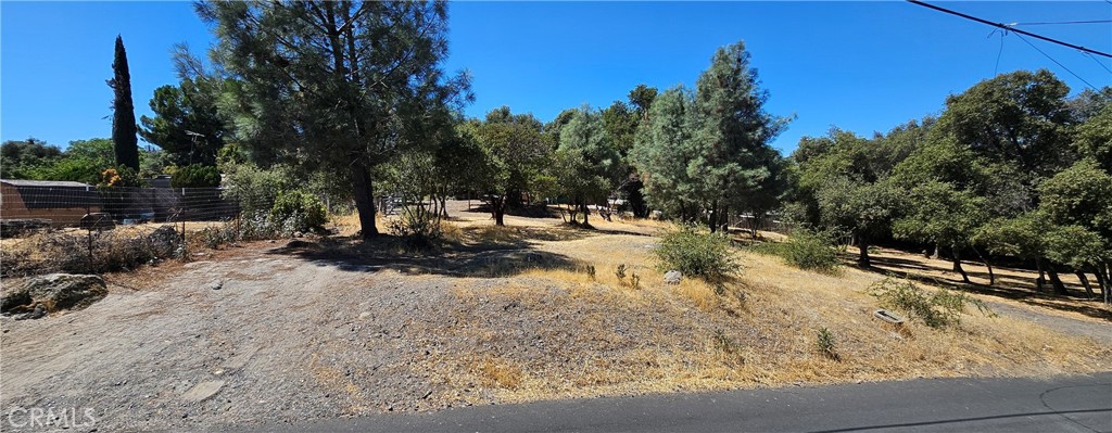 Nice level parcel. Will need a soils analysis the water connection is at the street. Located on a paved street.