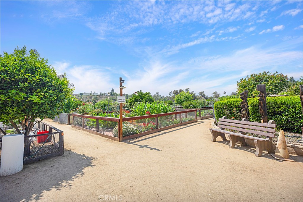 Casta Del Sol - Fiesta (CF) - Residential Lease
