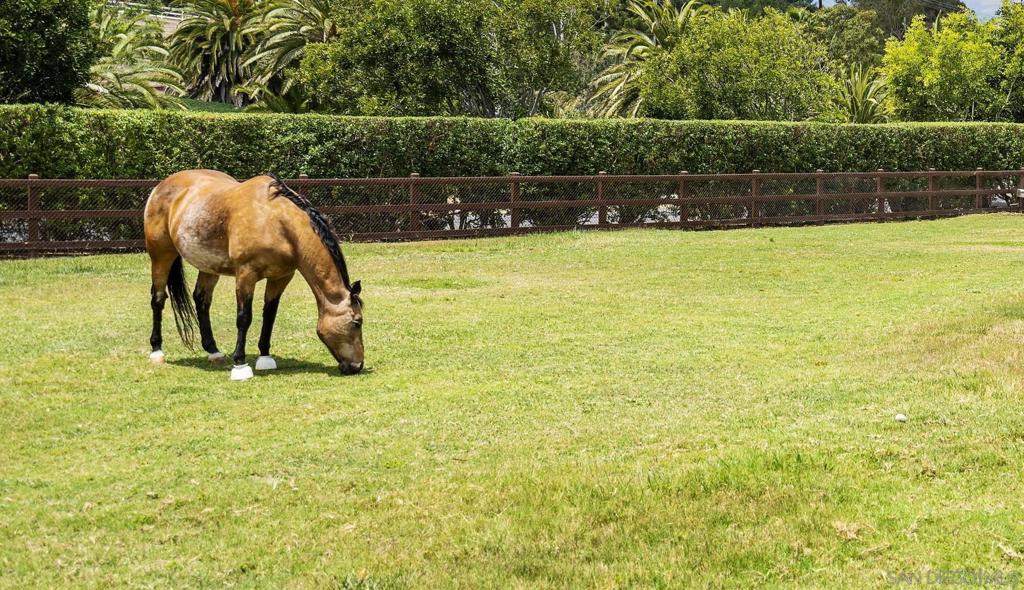 Rancho Santa Fe - Residential