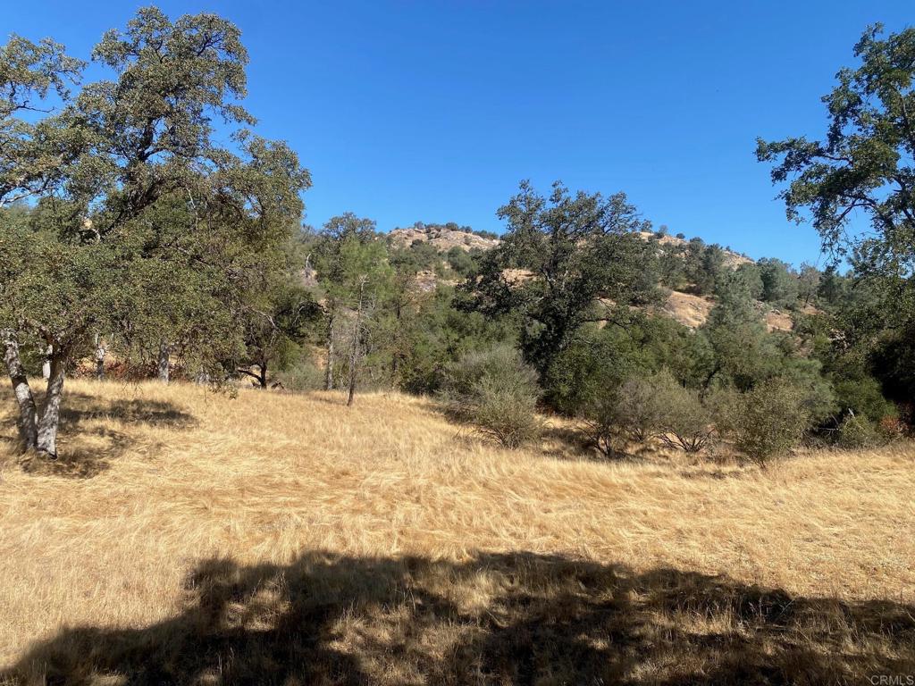 Are you ready to build your dream home in Yosemite Lakes? Here is your opportunity! Lot 2156 is a great location in a quiet, peaceful neighborhood. The community center offers golf, swimming, equestrian center, and more. Go take a look today and send in your offer today!