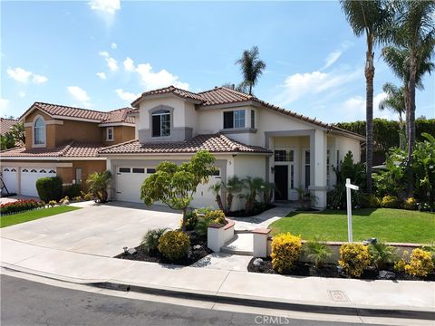 5 Relampago Rancho Santa Margarita CA 92688