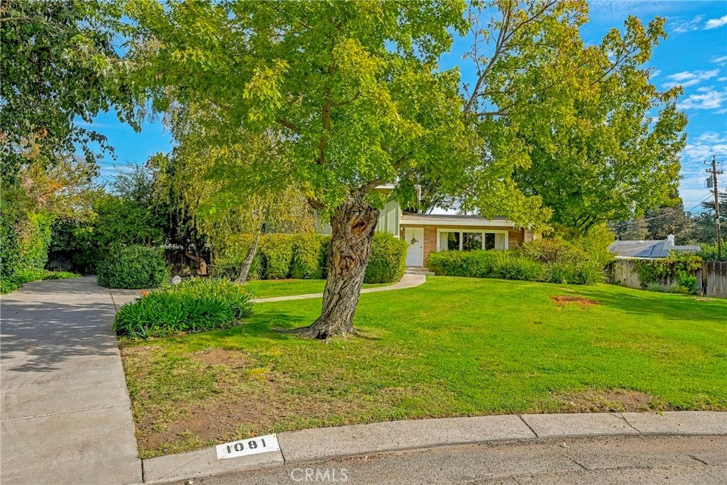 1081 Arizona Drive
