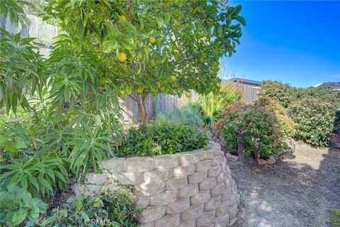 Tiny photo for 130 Quail Way, Avila Beach, CA 93424 (MLS # SC26029476)
