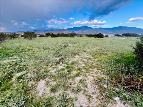 Photo of 0 Faryl Avenue, Cabazon, CA 92230 (MLS # IV26019292)