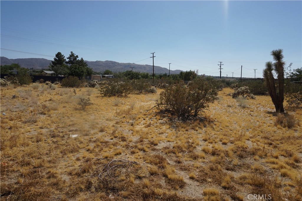 Own a slice of paradise in world-famous Joshua Tree for just $59990 ! This 7200 sq ft vacant land, offers stunning panoramic views, and is minutes from downtown Joshua Tree's vibrant shops, cafes and art galleries. Located near the iconic Joshua Tree National Park, enjoy endless outdoor adventures-hiking, climbing, and stargazing in a breathtaking desert landscape. Utilities are on site, with a paid water meter and electric above, making this lot build-ready for your dream home or investment property. Perfect for investors or motivated buyers seeking an affordable opportunity in this sought-after destination.