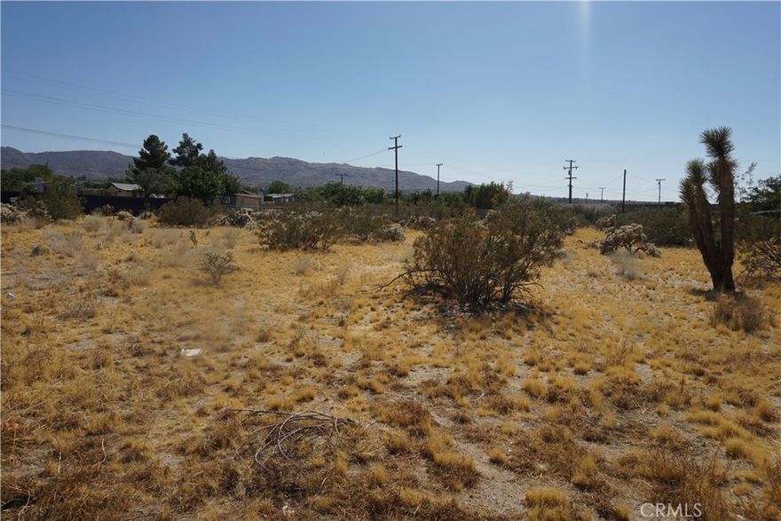 Own a slice of paradise in world-famous Joshua Tree for just $59990 ! This 7200 sq ft vacant land, offers stunning panoramic views, and is minutes from downtown Joshua Tree's vibrant shops, cafes and art galleries. Located near the iconic Joshua Tree National Park, enjoy endless outdoor adventures-hiking, climbing, and stargazing in a breathtaking desert landscape. Utilities are on site, with a paid water meter and electric above, making this lot build-ready for your dream home or investment property. Perfect for investors or motivated buyers seeking an affordable opportunity in this sought-after destination.