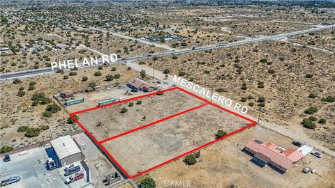 Photo of 9610 Mescalero Rd, Phelan, CA 92371 (MLS # WS26101601)