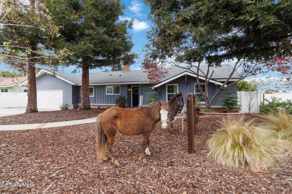 1881 Wellesley Drive