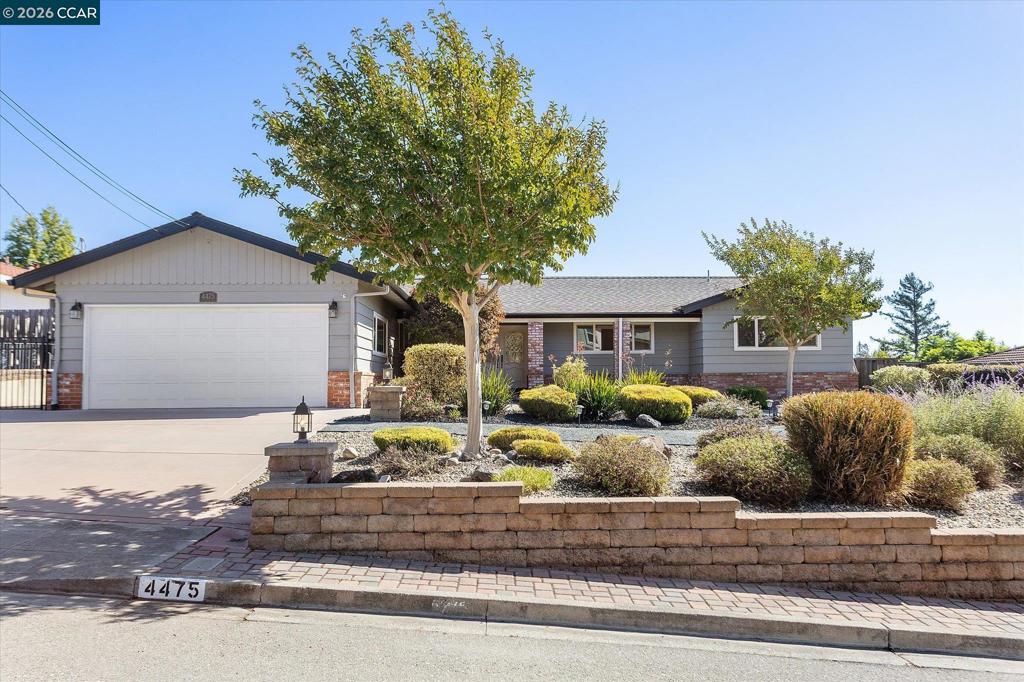 4475 Hillsborough Dr